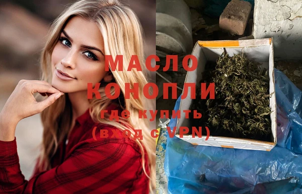 гашик Алексеевка