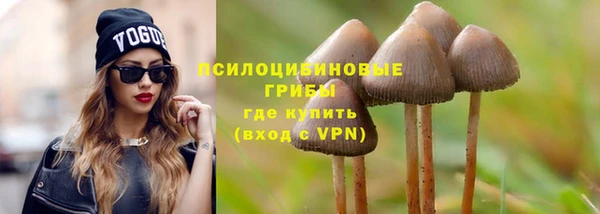 бутират Алзамай