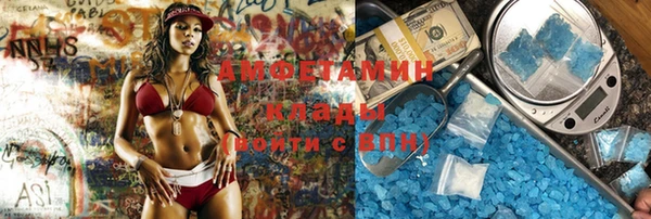 стаф Осинники