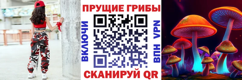 Псилоцибиновые грибы ЛСД Заринск